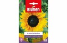 Blumen Saatgut Sonnenblume Twilight Zone, Bio: Nein, Blütenfarbe