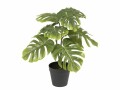 Botanic-Haus Kunstpflanze Philodendron 40 cm, Produkttyp: Topfpflanze
