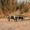 Bild 3 PolarPro Landing Gear für DJI Mavic Air