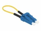 DeLock LWL Loopback Adapter LC / UPC Singlemode, Blau