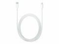 Apple USB-Kabel USB C - Lightning 1 m, Kabeltyp