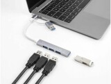 DeLock Dockingstation USB Hub Type C oder USB Typ