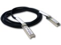 Cisco - SFP+ Copper Twinax Cable