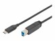 ednet USB TYPE-C CONNECTION CABLE TO TYPE-C TO B M/M