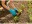 Bild 3 Gardena Gartenhandschuh 8 / M, Grösse: M, Detailfarbe: Blau
