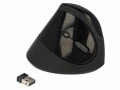 DeLock Ergonomische Maus 12599 USB