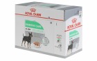 Royal Canin Nassfutter Care Nutrition Digestive Mousse, 12 x 85g