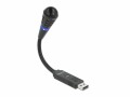 DeLock Mikrofon USB Schwanenhals mit Mute