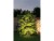 Bild 1 Paulmann Gartenspot Plug & Shine Sting 100° Erweiterung, Leuchten