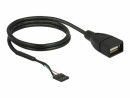 DeLock USB2.0 Pinheaderkabel 60 cm Pfostenbuchse ? USB-A-Buchse