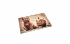 Läufer Schreibunterlage Kätzchen 40 x 53 cm, Kalender