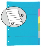 BIELLA Register Karton farbig A4 46140600U 6-teilig, blanko