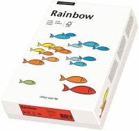 PAPYRUS   PAPYRUS Rainbow Papier FSC A4 88042630 mittelgrün, 80g