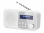 Sharp DAB+ Radio DR-P420 ? Weiss, Radio Tuner: DAB