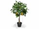 Botanic-Haus Kunstpflanze Zitronenbaum, 70 cm, Produkttyp: Topfpflanze