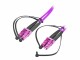 Lightwin - Patch cable - LC multi-mode (M) to