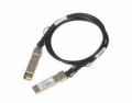 NETGEAR Direct Attach Kabel AXC763-10000S SFP+/SFP+ 3 m, Kabeltyp