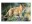 Bild 3 HERMA Schreibunterlage Afrika Tiere 55 x 35 cm, Kalender