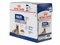 Royal Canin Nassfutter Health Nutrition Maxi Ageing 8+ Sauce, 10