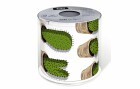 Paper + Design Toilettenpapier Cactuses 1 Rollen, 3-lagig, Grün, Anzahl