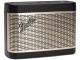 Immagine 3 Fender Bluetooth Speaker Newport 2 Champagner, Schwarz
