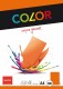 ELCO      Office Color Papier         A4 - 74616.82  80g, orange          100 Blatt