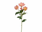 Botanic-Haus Kunstblume Christrosen 3-er Set, 62 cm, Altrosa