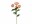 Bild 1 Botanic-Haus Kunstblume Christrosen 3-er Set, 62 cm, Altrosa