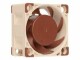 Noctua NF-A4x20 PWM Fan - 40mm