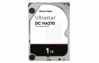 Western Digital Harddisk Ultrastar DC HA210 1TB SATA-III, Speicher