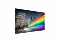 Philips Public Display 55BFL2214/12 55", Bildschirmdiagonale: 55 "