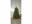 Bild 3 Star Trading Weihnachtsbaum Narvik, 2.1 m, Grün, 300 LED, Höhe