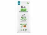 Brit Trockenfutter Care Adult LB Grain Free Lachs, 12