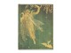 Paperblanks Notizbuch Olive Fairy 18 cm x 23 cm