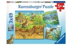 Ravensburger Puzzle Tiere in ihren Lebensräumen, Motiv: Tiere