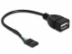 Image 1 DeLock USB 2.0-Kabel Pinheader - USB A 0.2 m