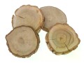 Opiflor Holzscheiben Eiche 4 Stück, Produkttyp: Holzscheiben