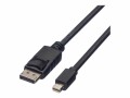 ROLINE GREEN - DisplayPort-Kabel - DisplayPort (M) zu Mini DisplayPort