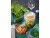 Bild 3 BioPak Salat-Schale Crystal 500 ml, 35 Stück, Detailfarbe