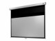 Celexon Rollo-Leinwand Pro Plus 200x113 cm 16:9, Leinwandtyp