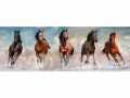 Clementoni Puzzle Panorama Pferde, Motiv: Tiere, Altersempfehlung ab