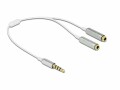 DeLock Audio-Kabel Klinke 3.5mm, male - Klinke 3.5mm, female