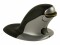 Bild 8 Fellowes Ergonomische Maus Penguin S Wireless, Maus-Typ