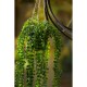 Emerald , Farbe: Grün, Pflanzenmaterial: 100% Polyethylen