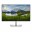 Bild 10 Dell Monitor P2425HE, Bildschirmdiagonale: 23.8 ", Auflösung