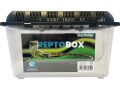 Repto Kunststoffterrarium Breedingbox L, 32.5 x 22 x 21