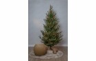 Star Trading Weihnachtsbaum Uppsala 210 x 110 cm, Höhe: 210