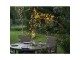 Star Trading Lichterkette Cluster-System Decor, 192 LED, 3 m, Leuchten