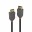 Image 4 LINDY Anthra Line - DisplayPort-Kabel