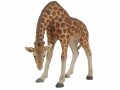 Vivid Arts Giraffe, Polyresin